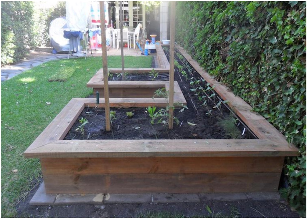 Vegetable garden installation in North Adelaide